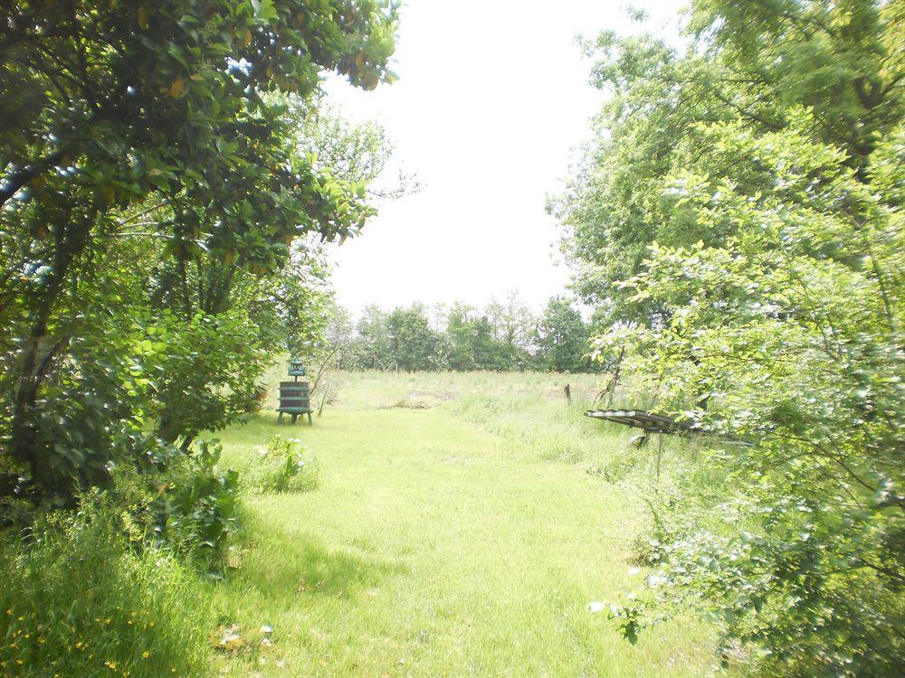 Green Fields Padova Dış mekan fotoğraf