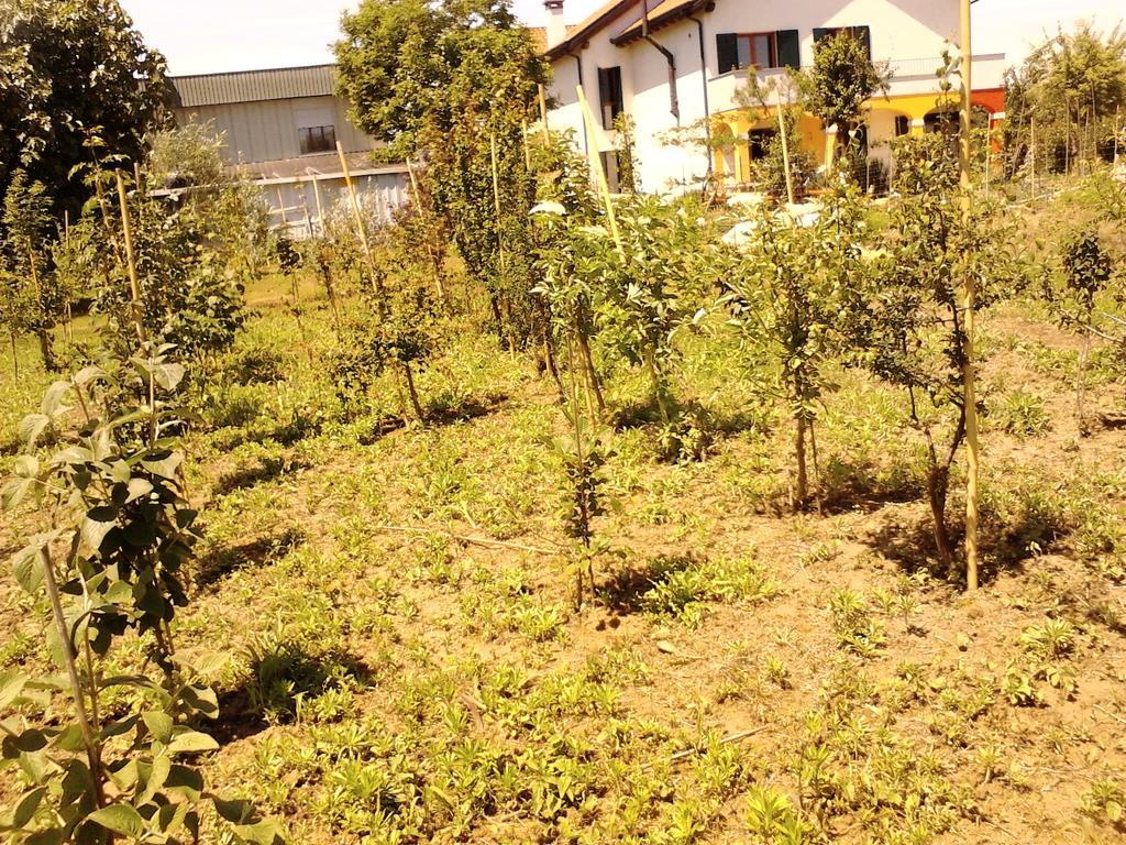 Green Fields Padova Dış mekan fotoğraf