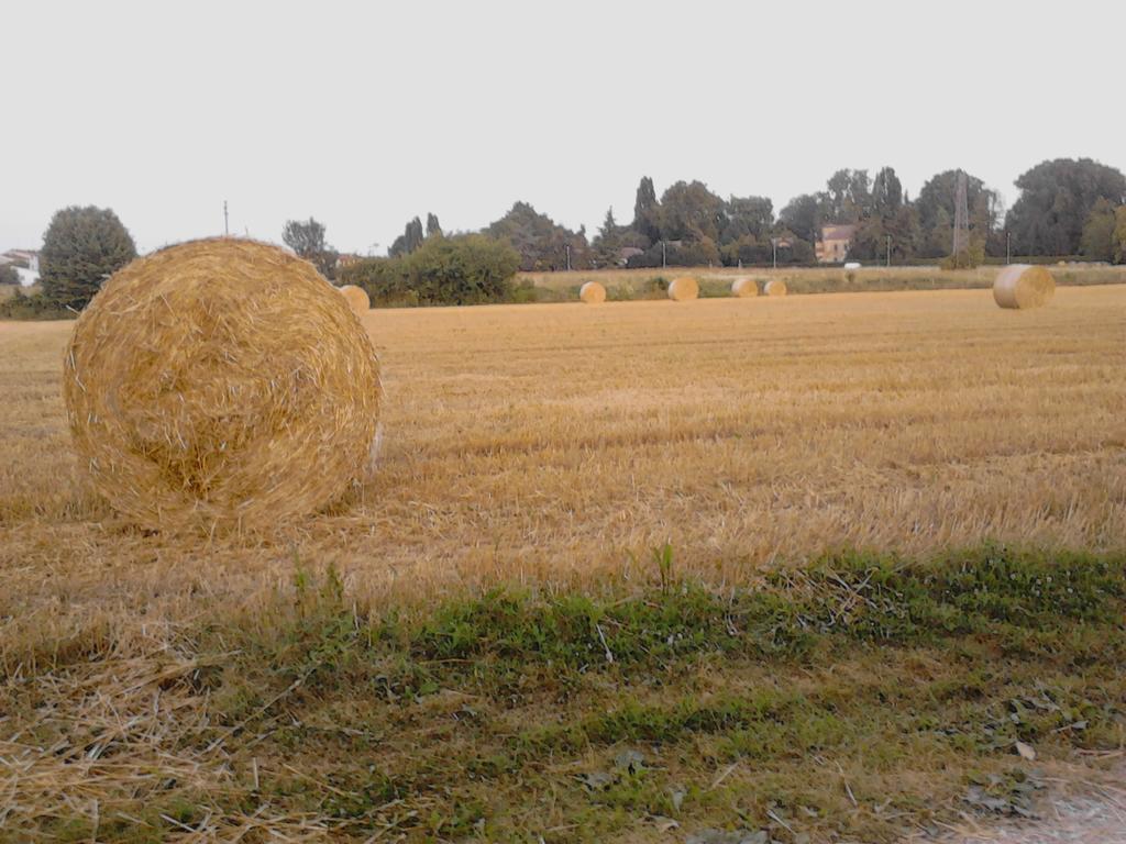 Green Fields Padova Dış mekan fotoğraf